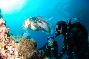 scuba diving mergulho barcelona