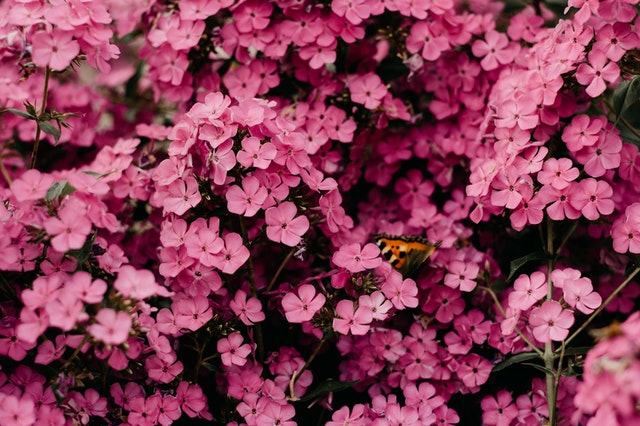 Jardim Botânico de Barcelona e suas belezas naturais