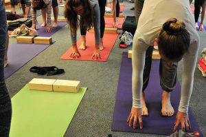 Imagem de alunos praticando Yoga Iyengar