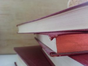 Muitos dos livros de segunda mão em Barcelona não são encontrados em outras cidades Imagem de pilha de livros