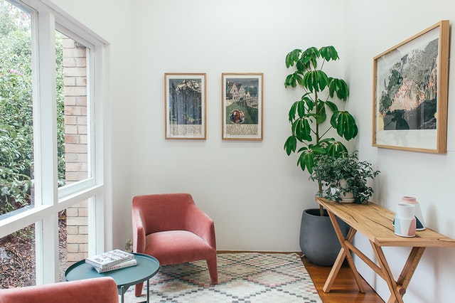 Plantas de interior decorando apartamento em Barcelona