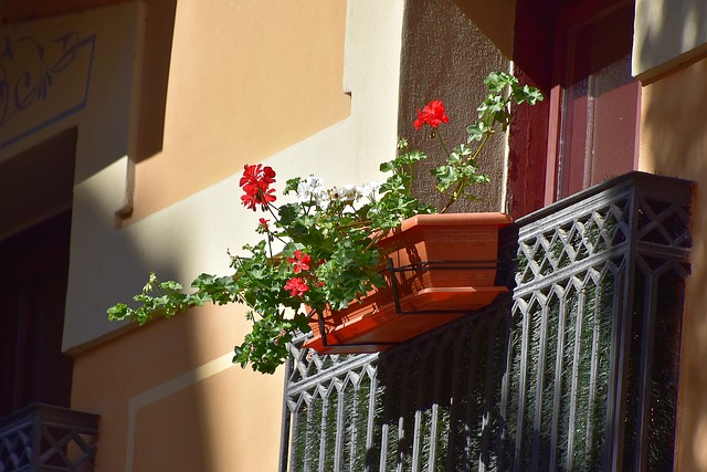 Como decorar a varanda - flores