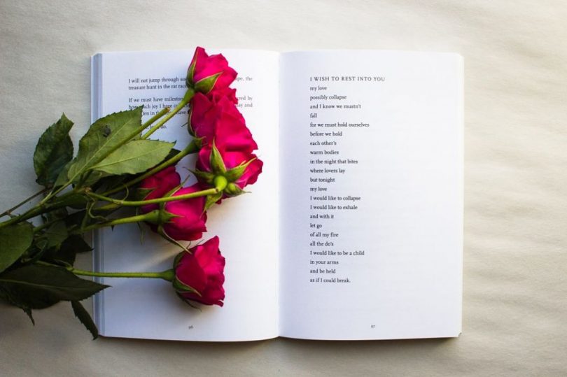 Imagem de uma rosa e um livro aberto simbolizando Sant Jordi