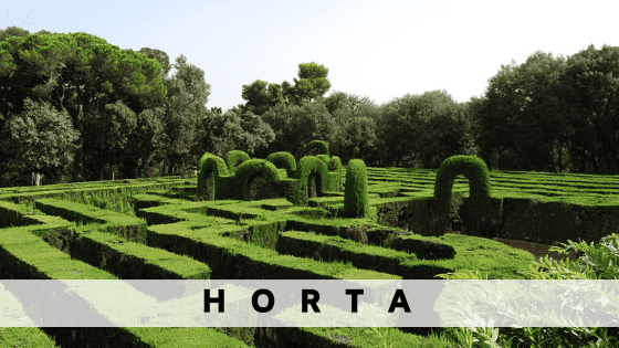 Alugar um apartamento em Horta